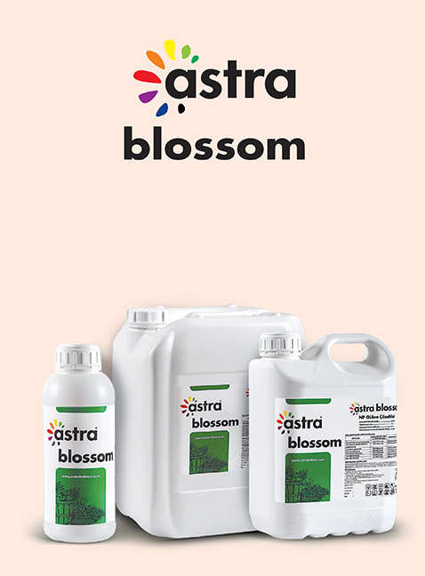 ASTRA BLOSSOM